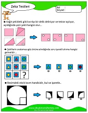 Zeka Gelişim Testleri